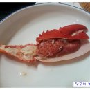 오늘은 회 이미지