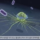 정준석 네이버블로그