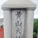 부여 황산대교-세도지구 (유채꽃단지) 노지 이미지