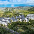 남해-217 이미지