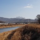 신원교 전