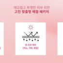 팰리스 에스테틱