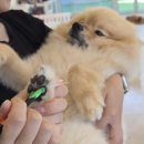퍼밀리 이미지