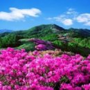 소백산 이미지