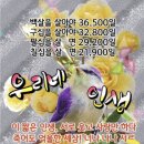 풍성의료기 Daum카페