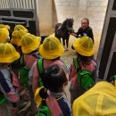 오천제일유치원 이미지