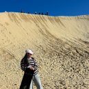 씨엔씨퍼스트스트릿호텔 | 8박10일 멜버른&amp;시드니여행 6일차-시드니 포트스테판 투어(넬슨베이, 모래썰매, 오크베일동물원)