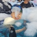 세인트존스동물병원 | 세인트 더 스위트 양양 호텔 속초 양양 여행(내돈내산)