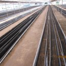 동정농장 이미지