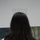 로이드밤 양산신도시점