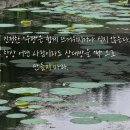 지에스25서수원도서관점 | [책 리뷰] 인생은 너무 짧다 너는 세상을 이렇게 살아라 - 필립 체스터필드가 전하는 인생의 나침반