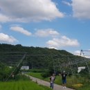 다감농장 이미지