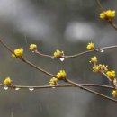 강나루 긴 언덕 이미지