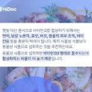 비타민A 효능 및 음식 과다 임산부 이미지