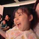 뮤지컬 꿀벌마야의 모험 이미지