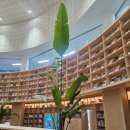 아이숲어린이도서관 이미지