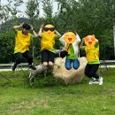 국립공원공단 국립공원야생생물보전원 북부보전센터 이미지