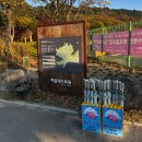 푸른도시가꾸기사업소 화장실 | [부산] 가을 나들이 해운대 수목원 다녀오기 - 주차 / 시설 / 풍경