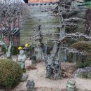 정원이네식당 이미지