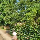 석상경로당 이미지