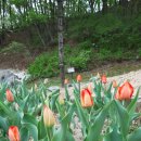 홍인파크 이미지