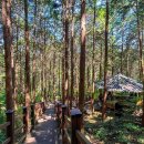 경주숲 1,2 이미지