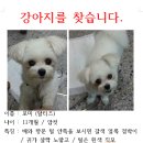 간석교차로 근처 - 1775 | 간석교차로 근처