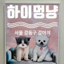 하이멍냥 강아지분양 고양이분양 서울본점 이미지