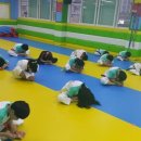 선운 태권도 이미지