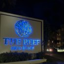 더 플라야(the PLAYA) | 칸쿤 플라야 델 카르멘 PDC 더리프 코코비치 리조트 (The Reef Coco Beach) 후기 | 위치, 뷔페, 룸컨디션