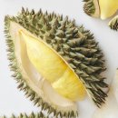주식회사 두리안