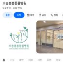 오송 봄봄 동물병원 이미지
