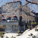 지리산로시난테하우스 이미지