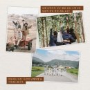 아티제스냅