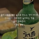 #웃긴명언 # 이미지