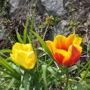 즐거운노래방 이미지