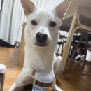 황태와흑염소
