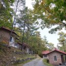 학가산우래자연휴양림 야영장 이미지