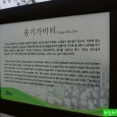 화산회토로 만드느 숨쉬는 항아리 '제주옹기마을' 이미지