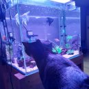 비즈아쿠아수족관 이미지