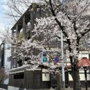 간선도로(우산천변길) | [교토 벚꽃여행 ] 2일차 (1) - 후시미 이나리 / 후시미 짓코쿠부네 / 교토 맛집 고향아 잇신