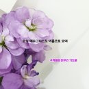 예실목장 이미지