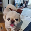 과천우주동물병원 이미지