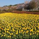 미르부동산공인중개사사무소 이미지