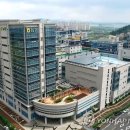 만금 2농장 연합뉴스