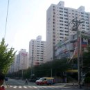 하단동115 이미지