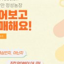 홍삼농장 네이버블로그