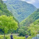 갯골자연휴양림 | 이제까지 이런 자연휴양림은 없었다 🍃자연휴양림계의 나조스트, 인제 갯골자연휴양림 캠핑 후기
