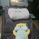 (주)화인플레이스 | [출산준비] 오늘,슈가링 임산부 왁싱 내돈내산 후기
