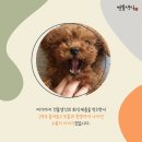 견물화식 네이버블로그